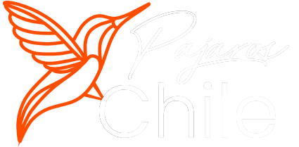 Aves de Chile